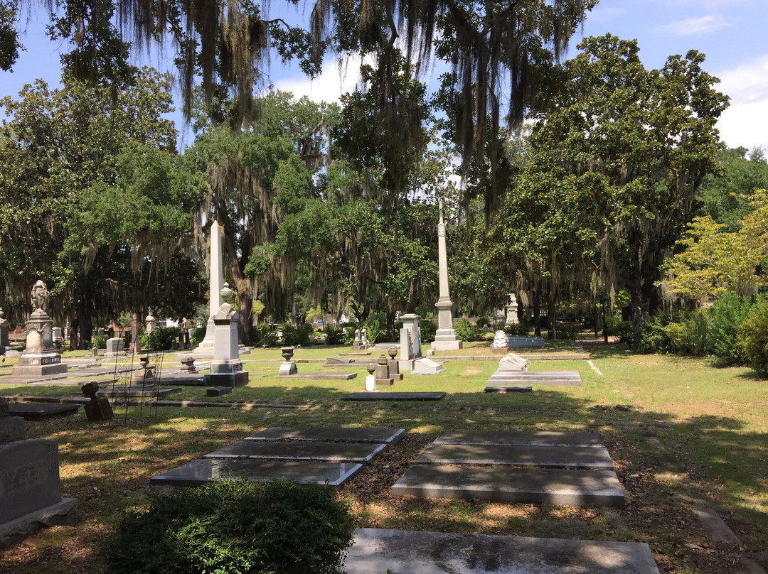Old Live Oak Cemetery景点图片