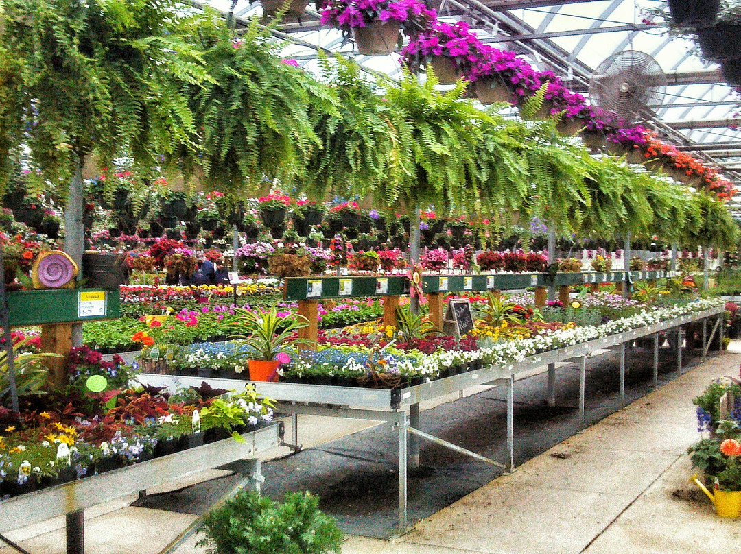 Clyman旅游景点-Ebert's Greenhouse Village