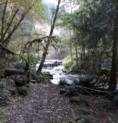 Sweet Creek Falls-Mapleton必去景点