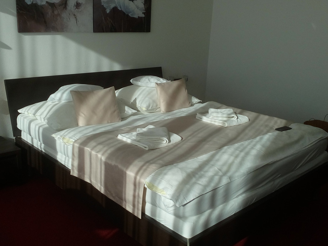 Hotel Koncista主图