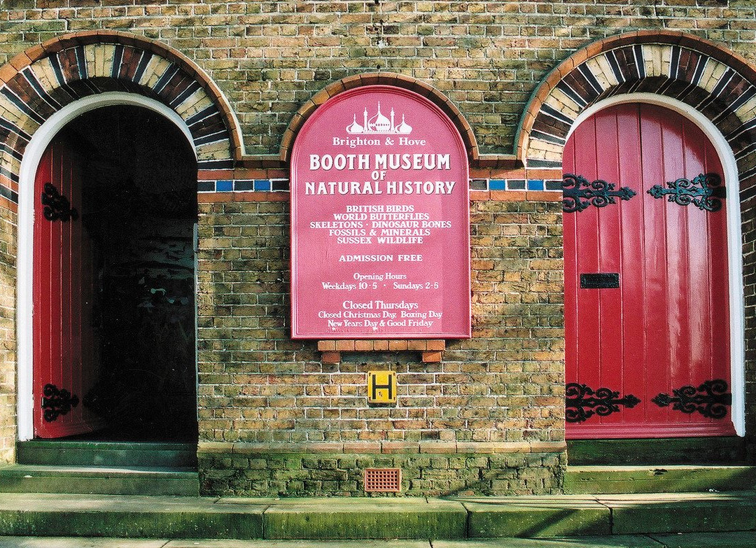 Booth Museum of Natural History景点图片