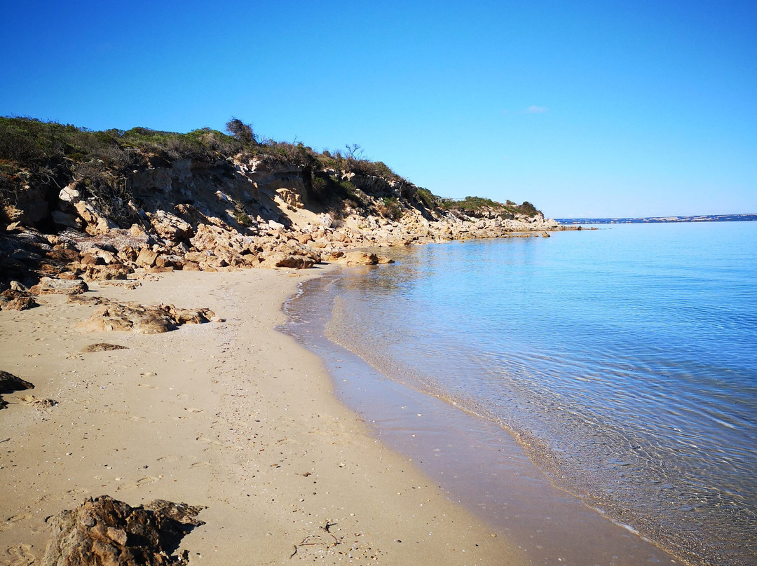 Baudin Beach-袋鼠岛必去景点
