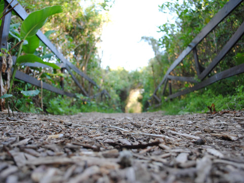 Guided Tour San Isidro