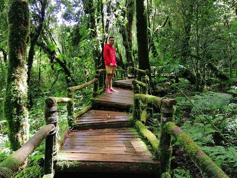 Nature Trails Ang Ka景点图片