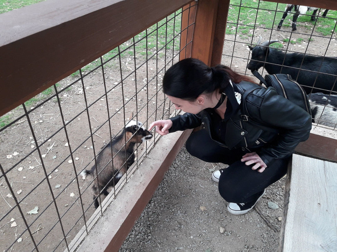 Zoopark Na Hrádečku-英吉夫必去景点