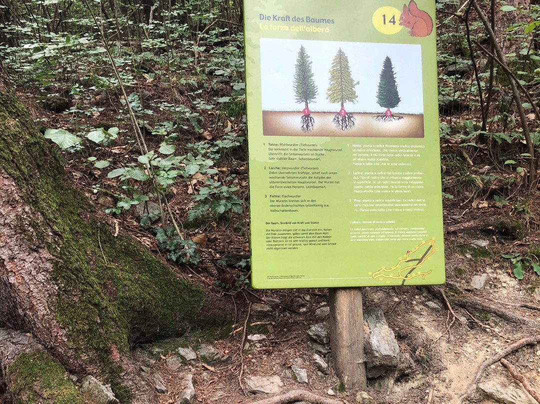 Natur- und Erlebnisweg Marling景点图片