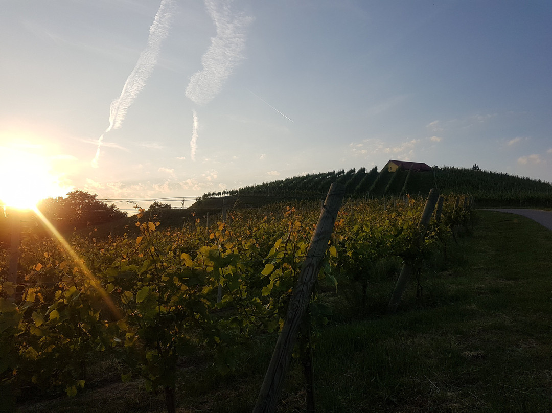 Izletnisko - Vinogradniska Kmetija Ratek-Ljutomer必去景点