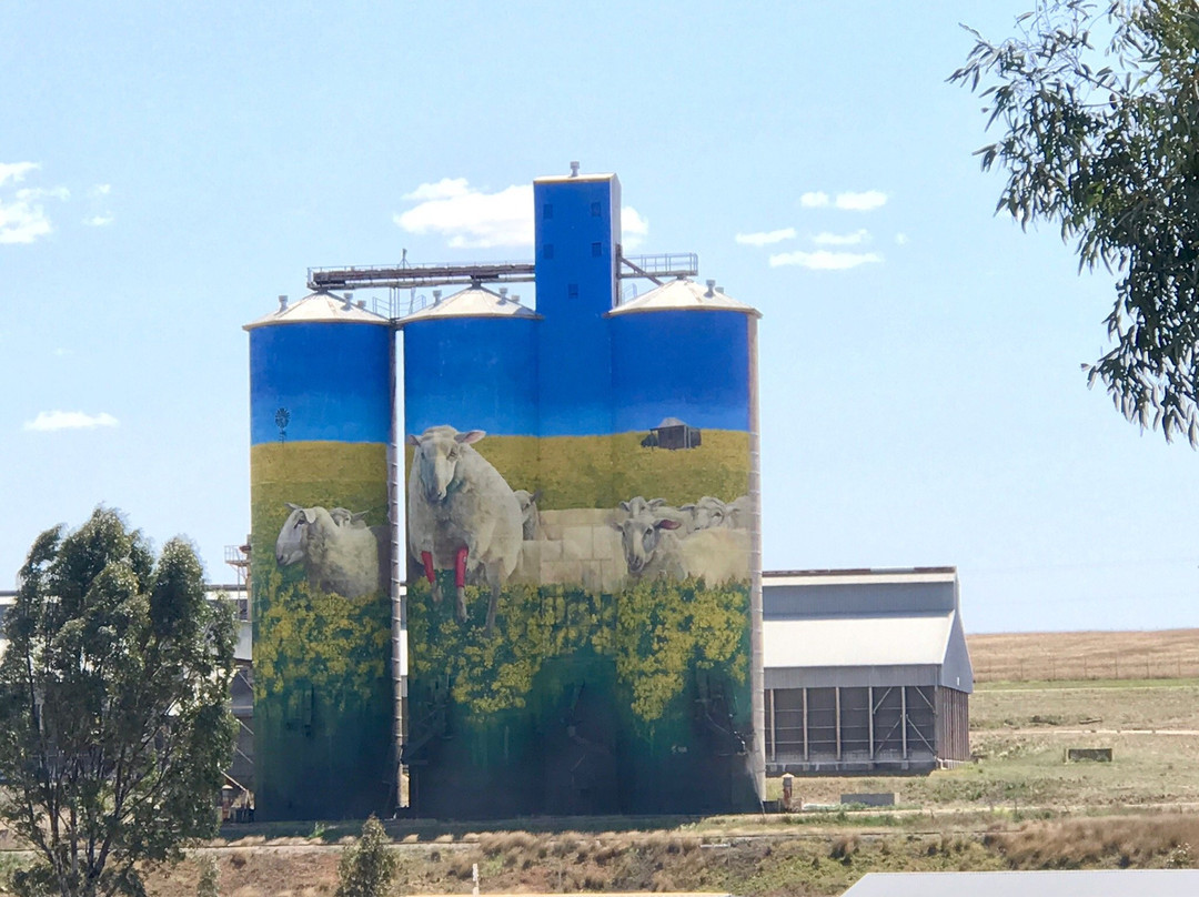 Merriwa Silo Art-Merriwa必去景点