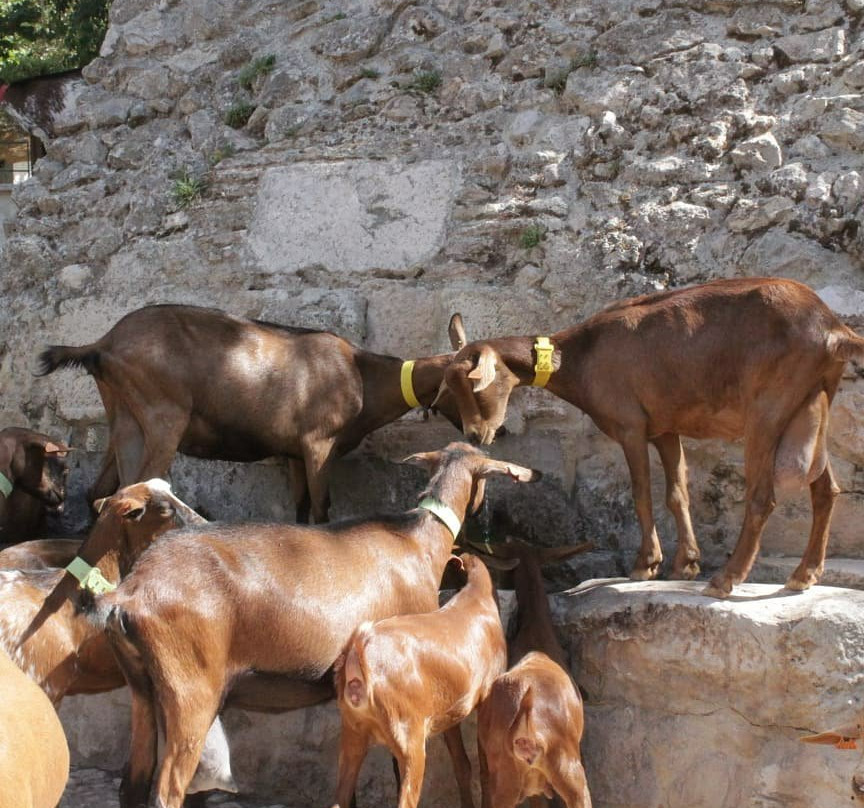 Manantial de Roya Hotel主图