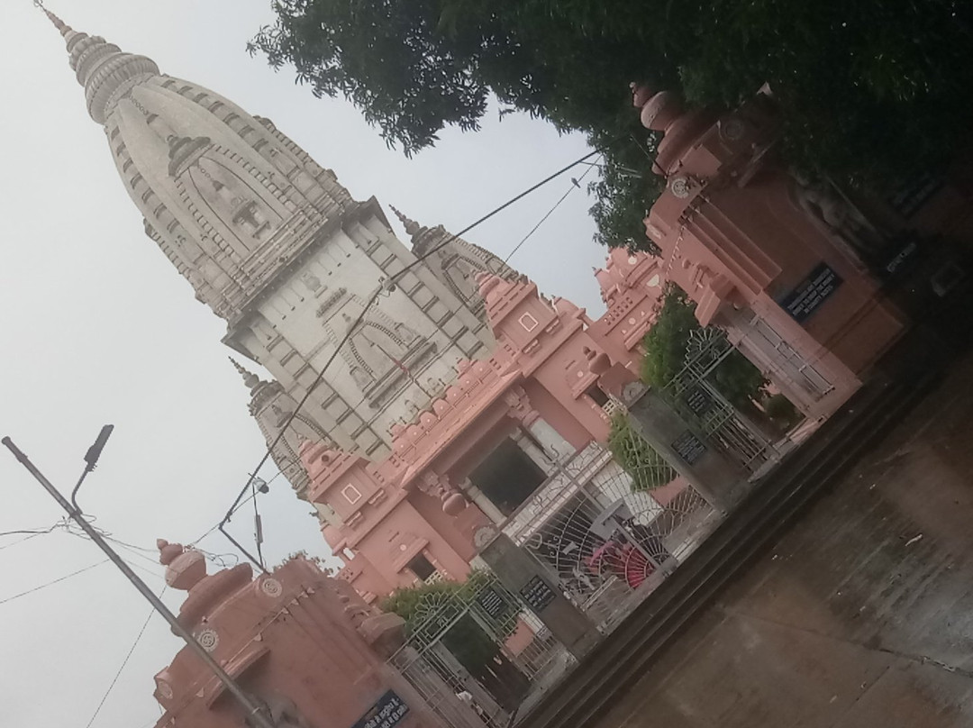 New Vishwanath Temple景点图片