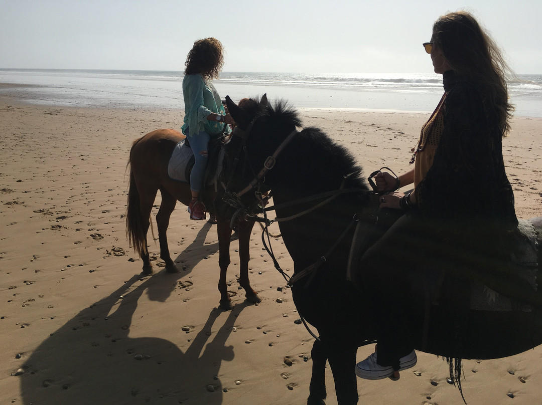 Maroc a Cheval-Sidi Kaouki必去景点