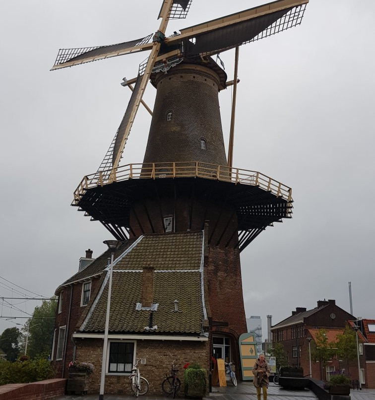 Molen De Roos-代尔夫特必去景点