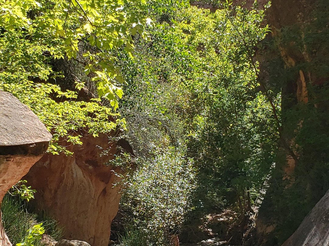 Kanarraville Slot Canyon-Kanarraville必去景点