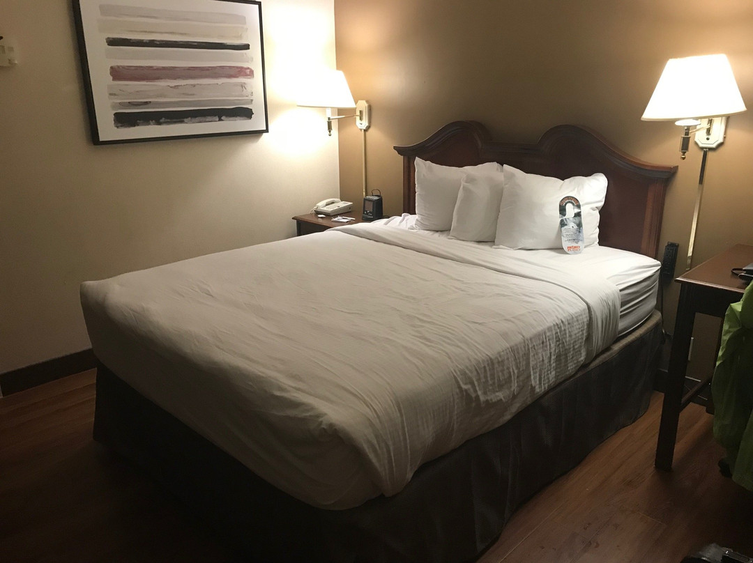 Auburn Place Hotel & Suites主图