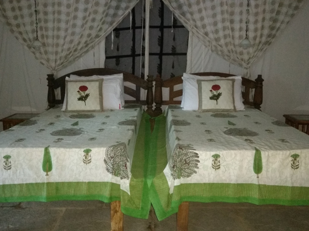 Bohemyan Blue Stay主图