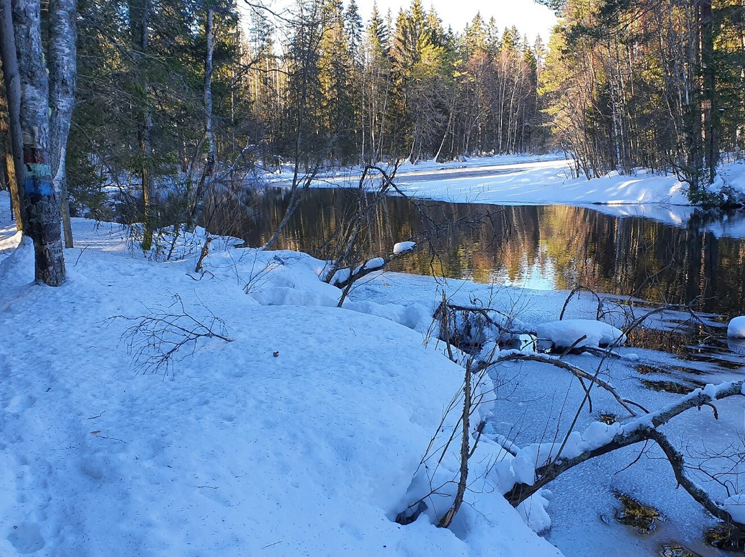 Jokipolku