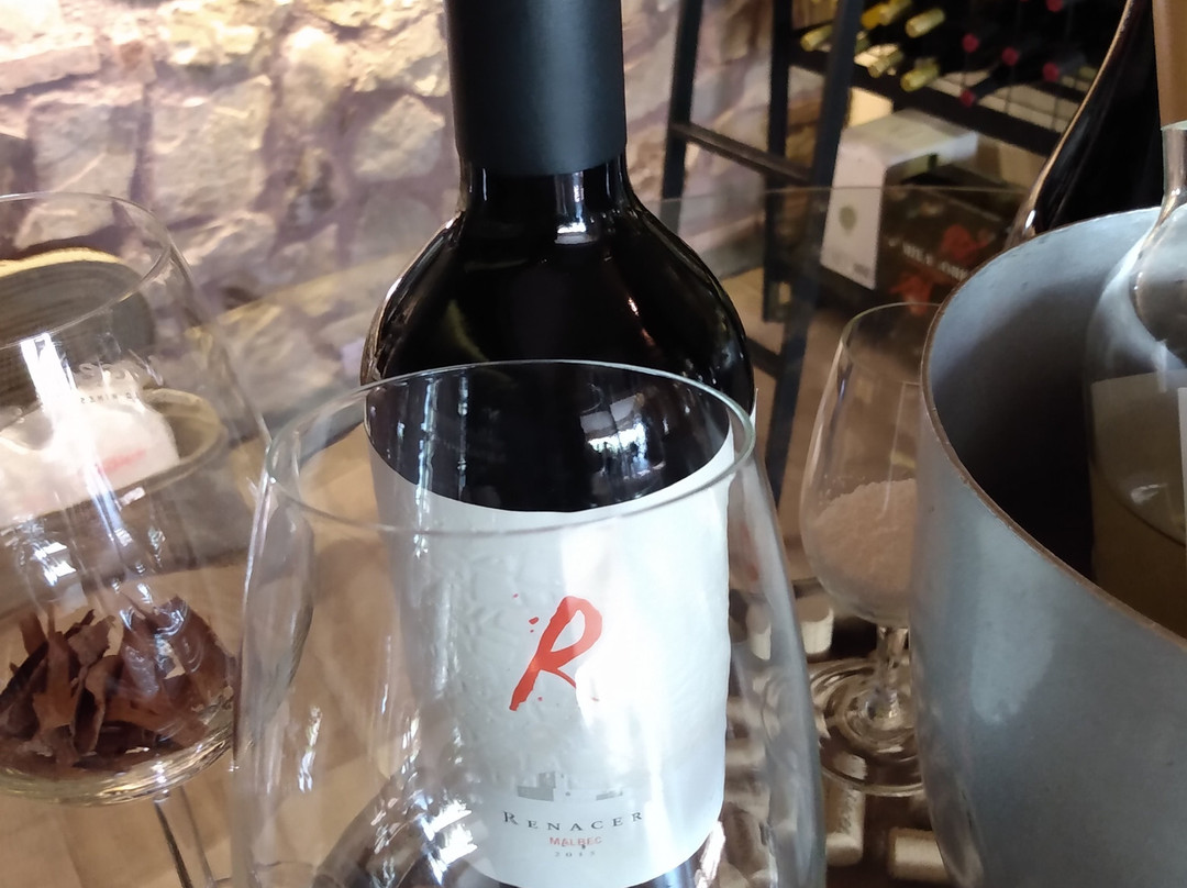 Bodega Renacer-路冉得库约必去景点