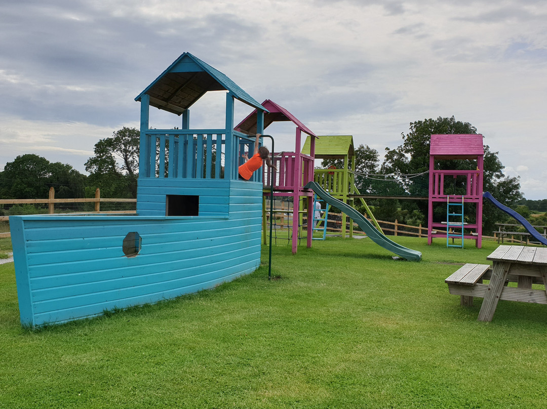 Tearaways Pet Farm & Activity Centre-蒂珀雷里必去景点
