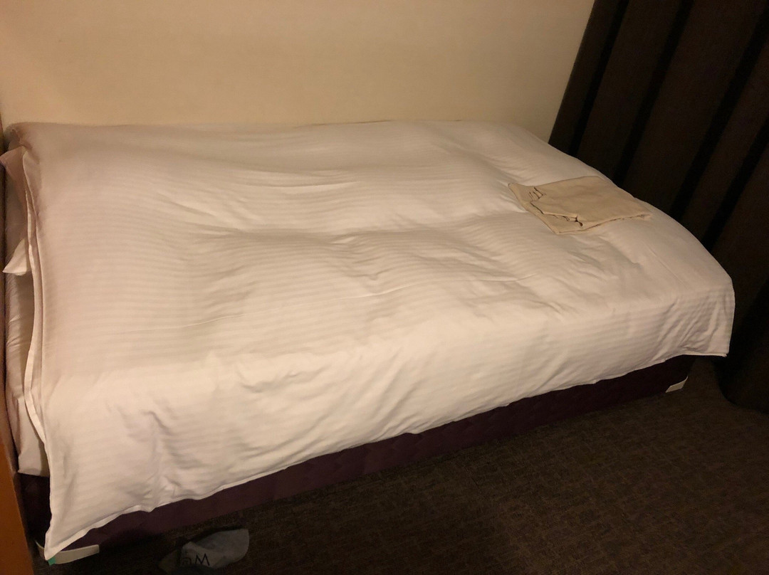 Moriyama Art Hotel主图