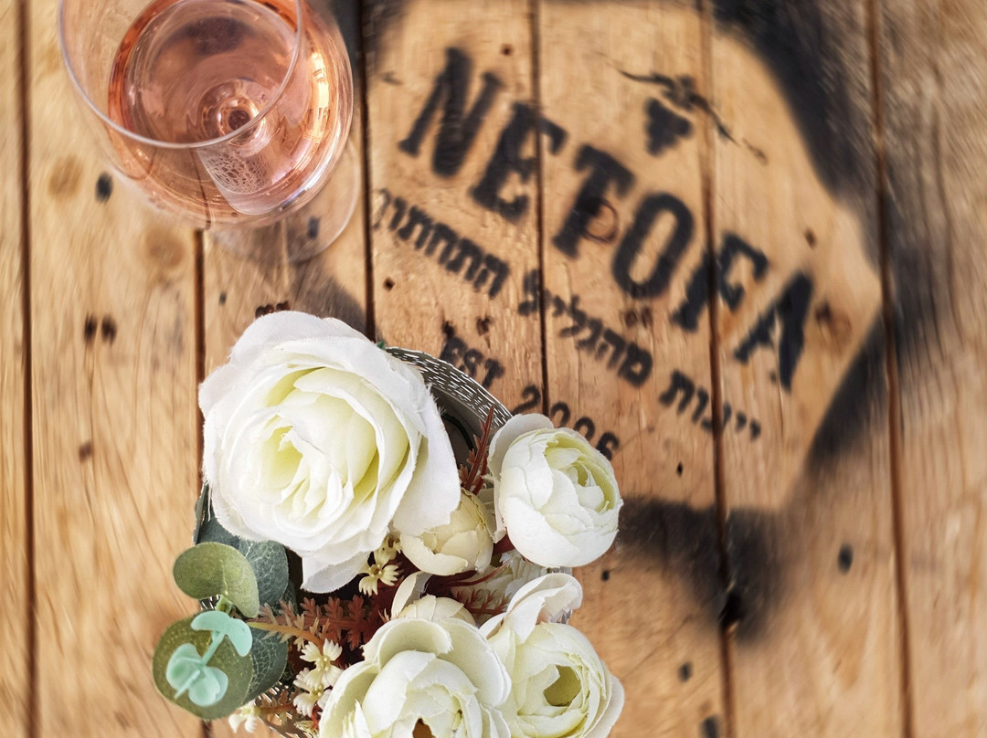Netofa Winery-Mitse Netofa必去景点