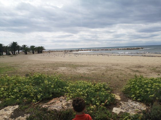 Platja De l'Ardiaca景点图片