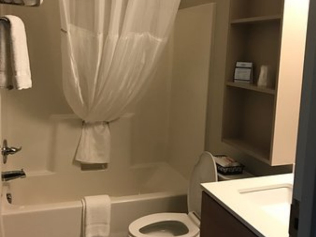 Microtel Inn & Suites by Wyndham Ocean City主图