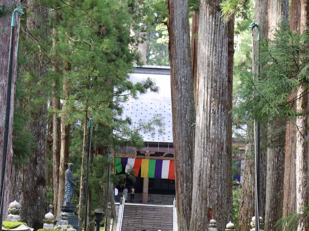 Torodo Temple-高野町必去景点