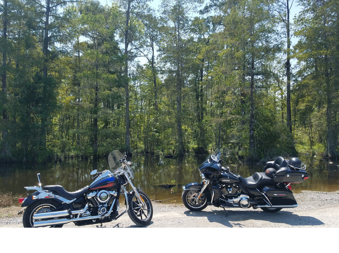 EagleRider New Orleans Rentals & Motorcycles景点图片