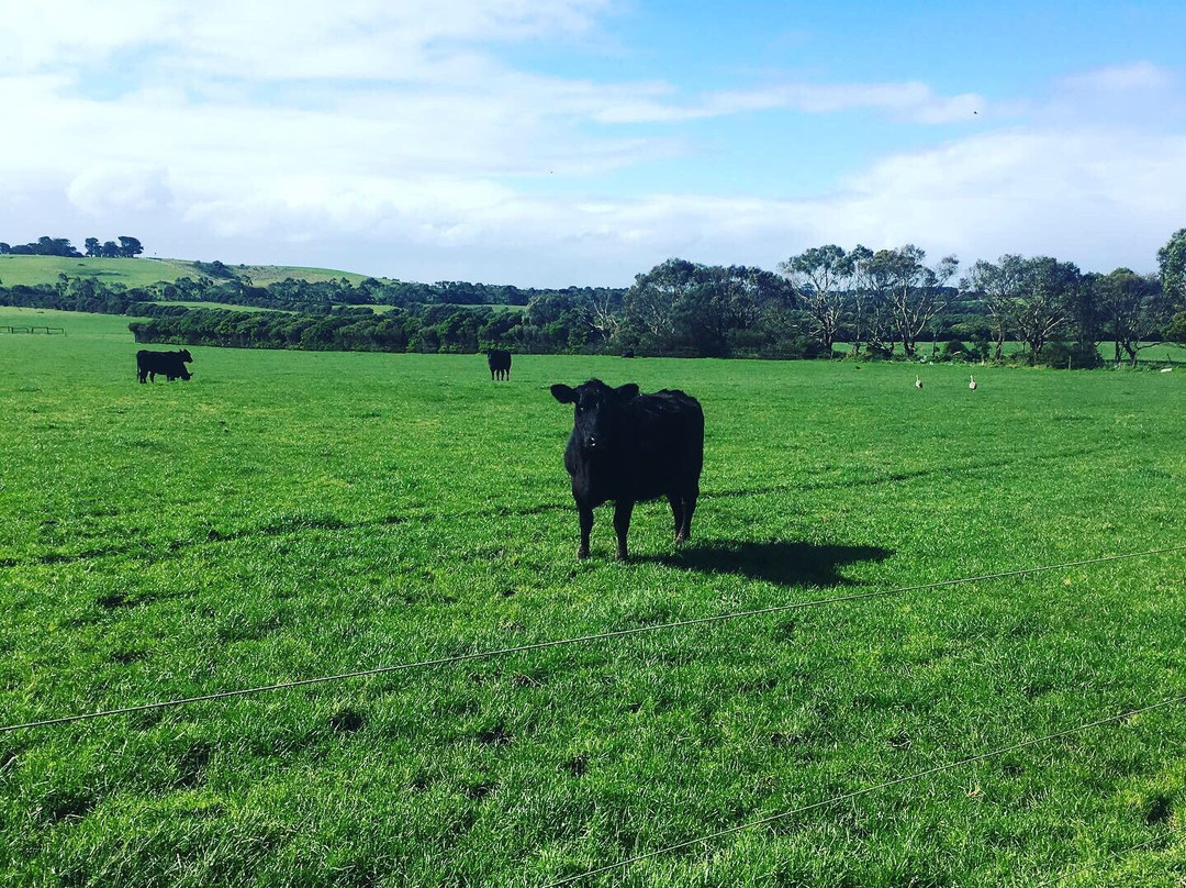 Bimbadeen Phillip Island主图