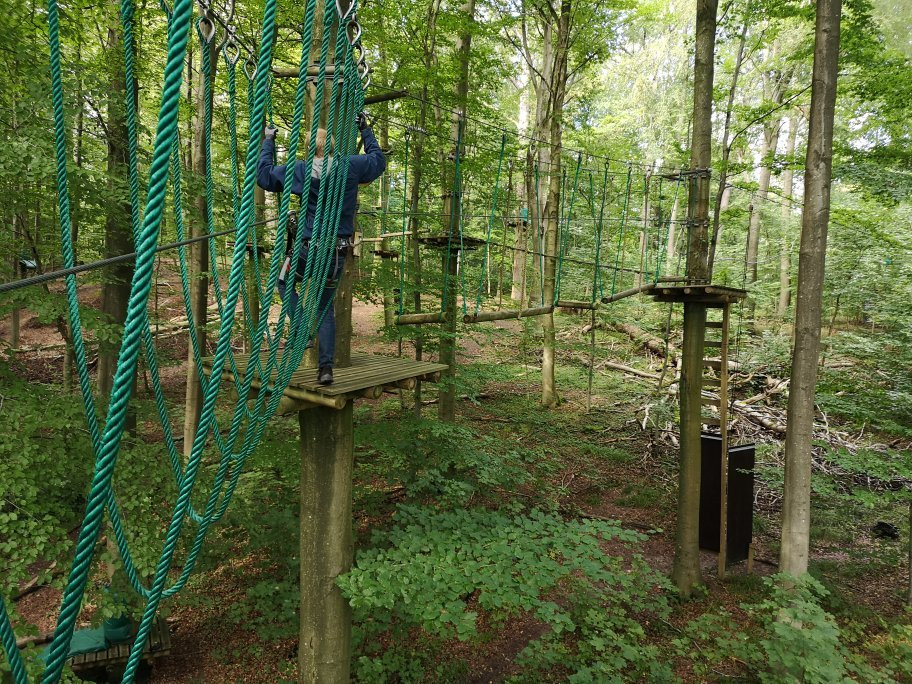 Gorilla Park Vejle景点图片