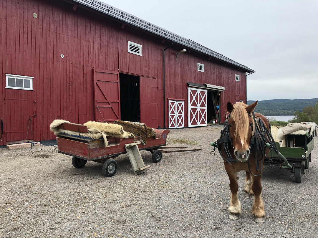 Skjerven Farm-奥斯陆必去景点