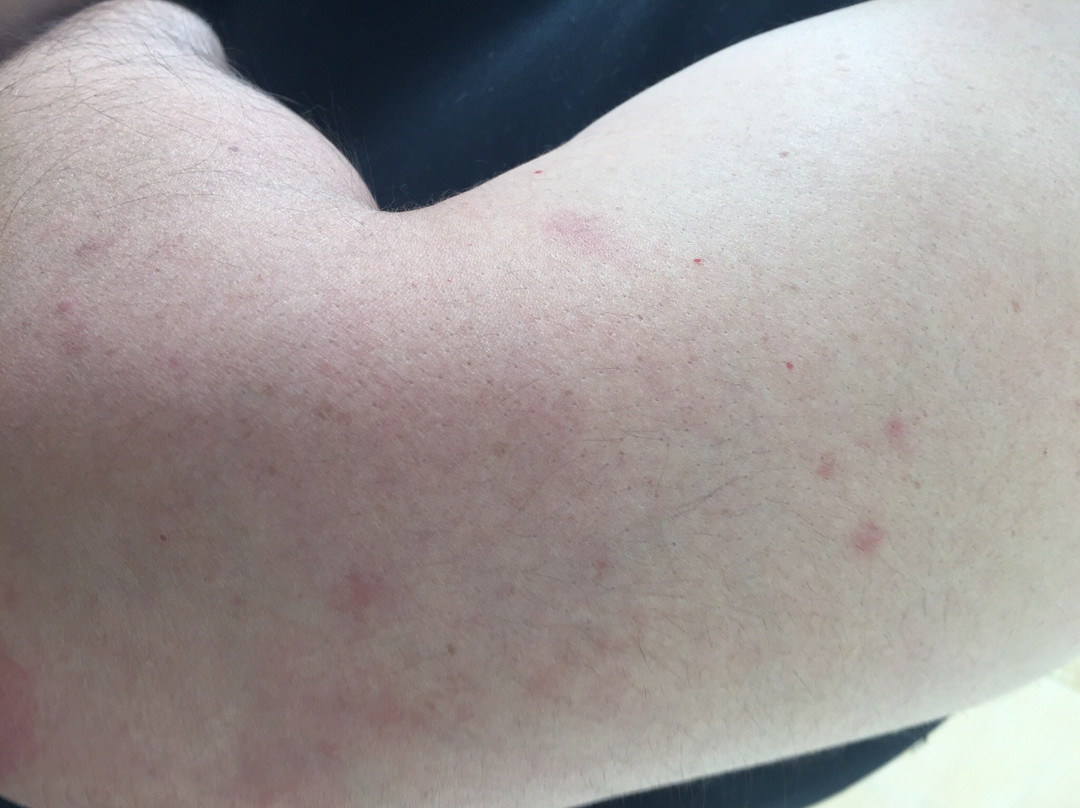 Holiday Inn & Suites Monterrey Apodaca Zona Airport By IHG主图