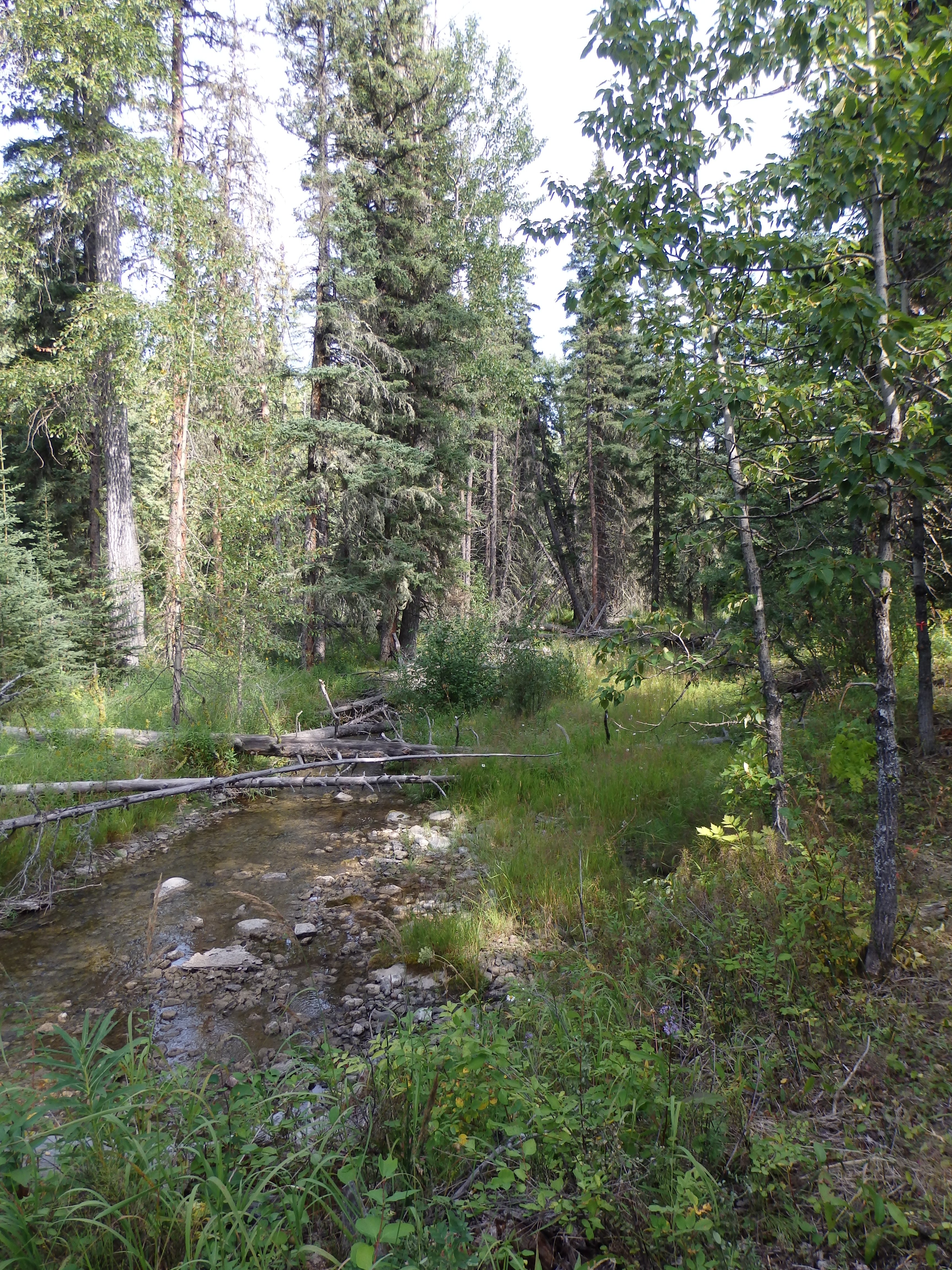 Aspen Grove Bed & Breakfast-浴室