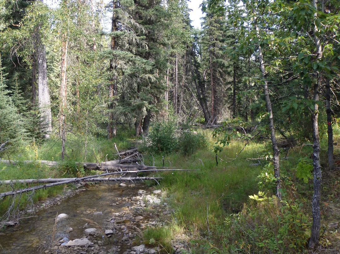 Aspen Grove Bed & Breakfast主图