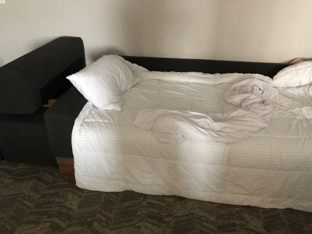 辛辛那提布鲁艾施SpringHill Suites酒店主图
