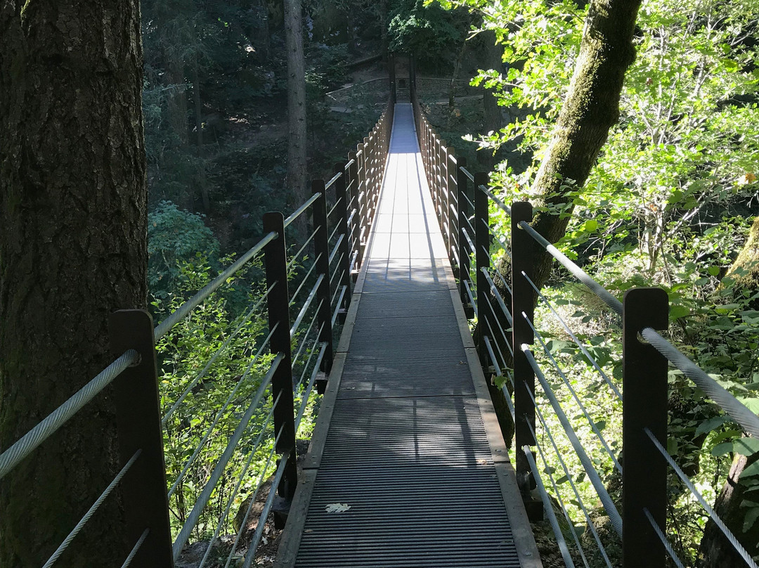 Deer Creek Tribute Trail-Nevada City必去景点