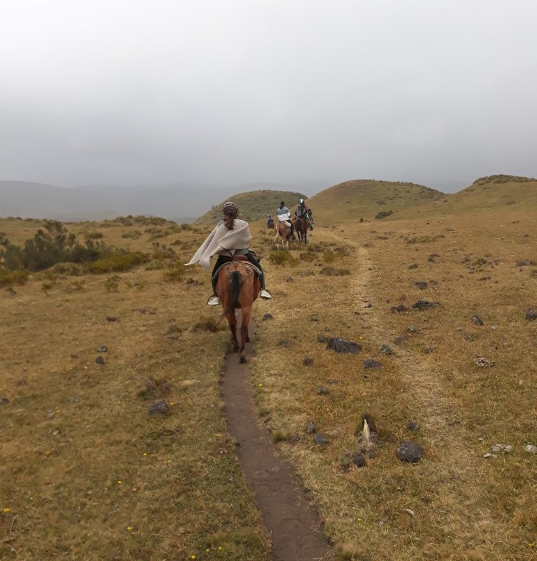 Hostería Papagayo Cotopaxi - Horseback Riding景点图片