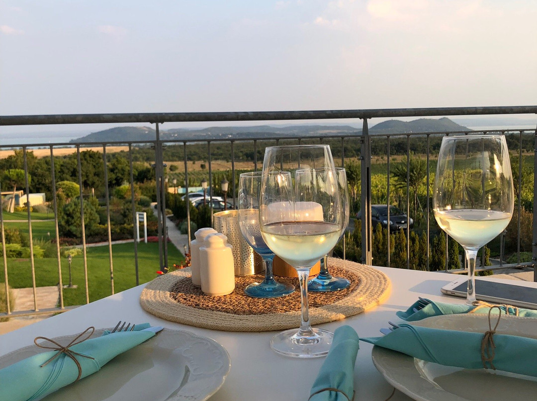 Villa Vitae Balatonfured主图