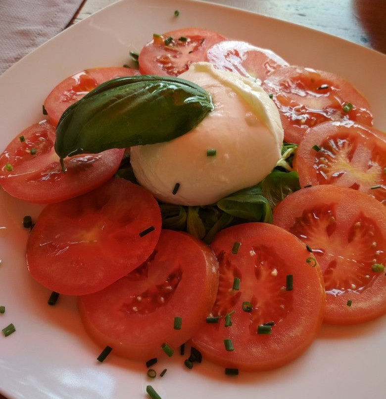 Hotel Sylvanerhof主图