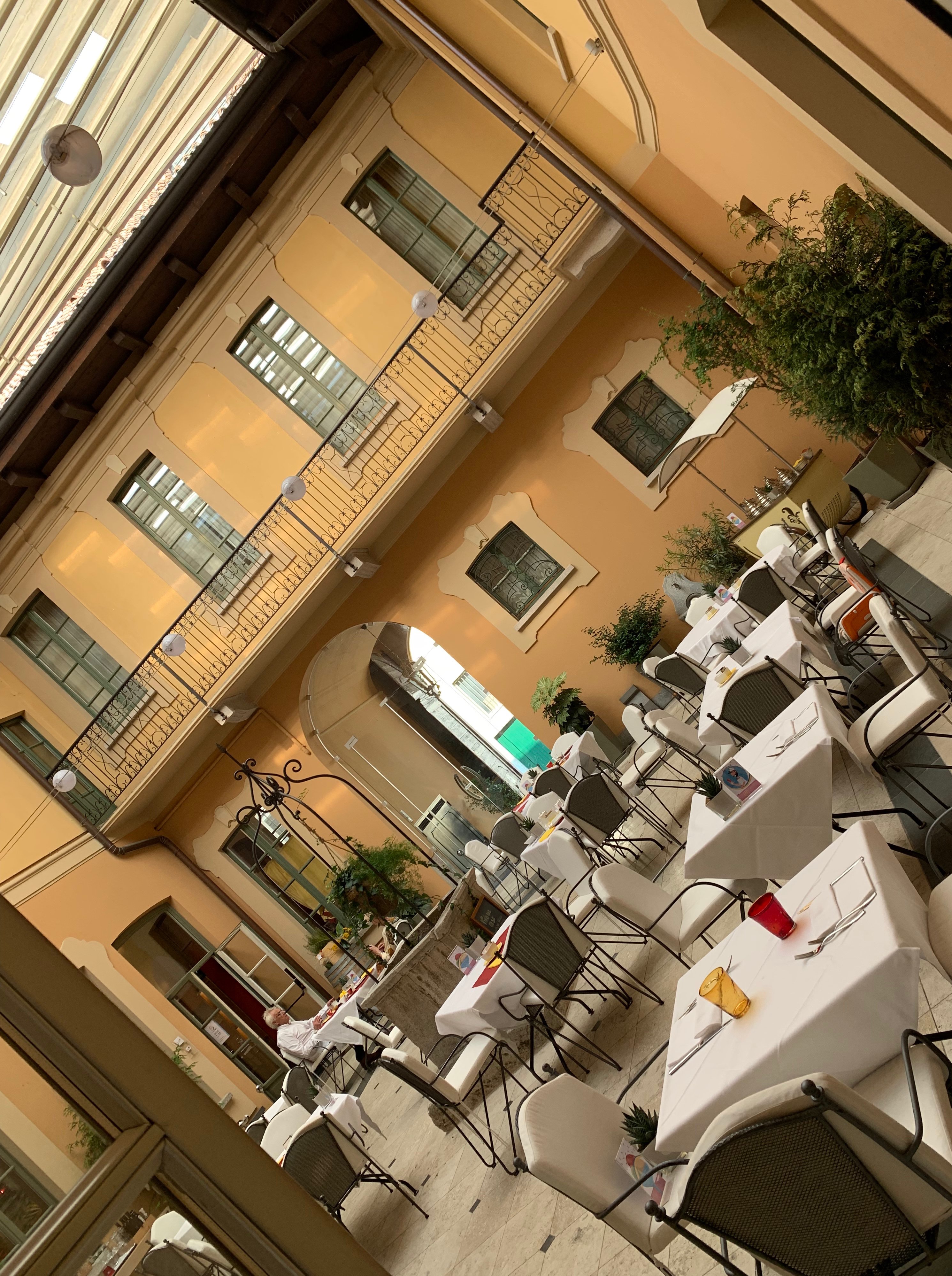 Villa Appiani-餐饮