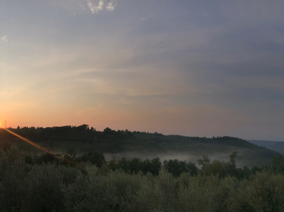 Agriturismo la Villa Romita主图