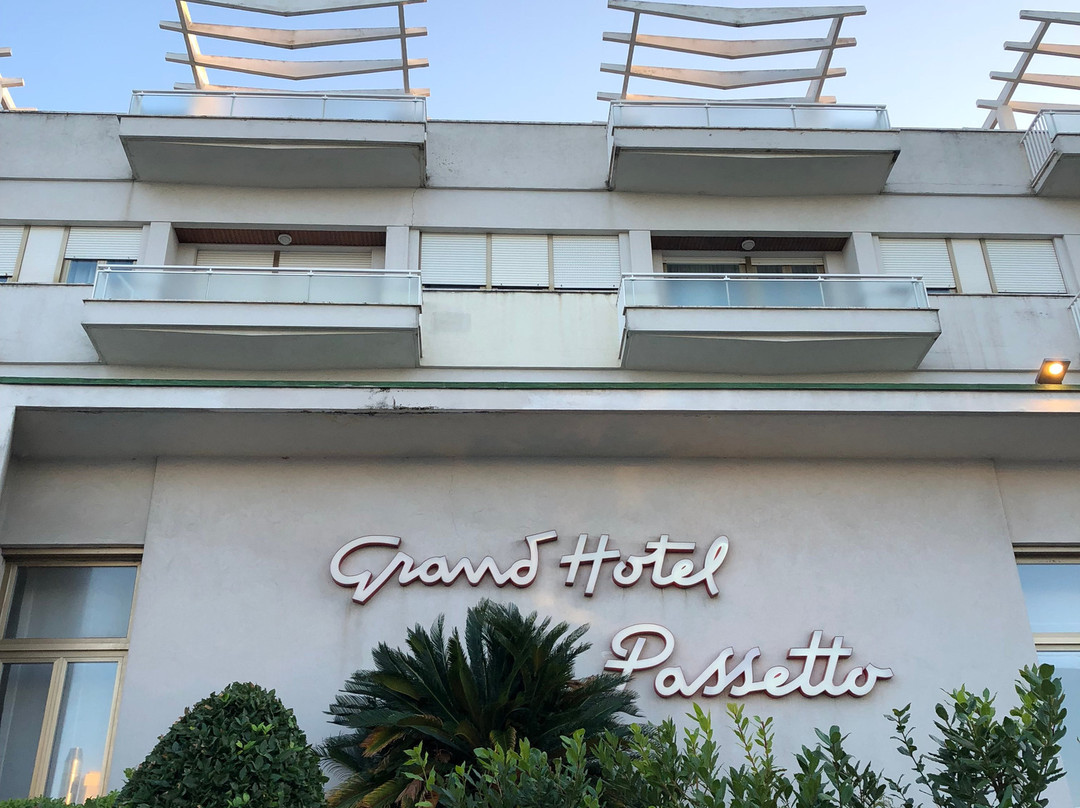 帕瑟图大酒店主图