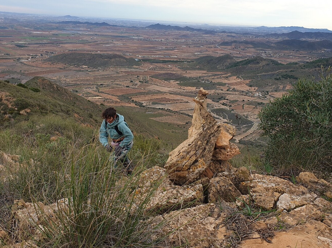 Cordal Del Algarrobo