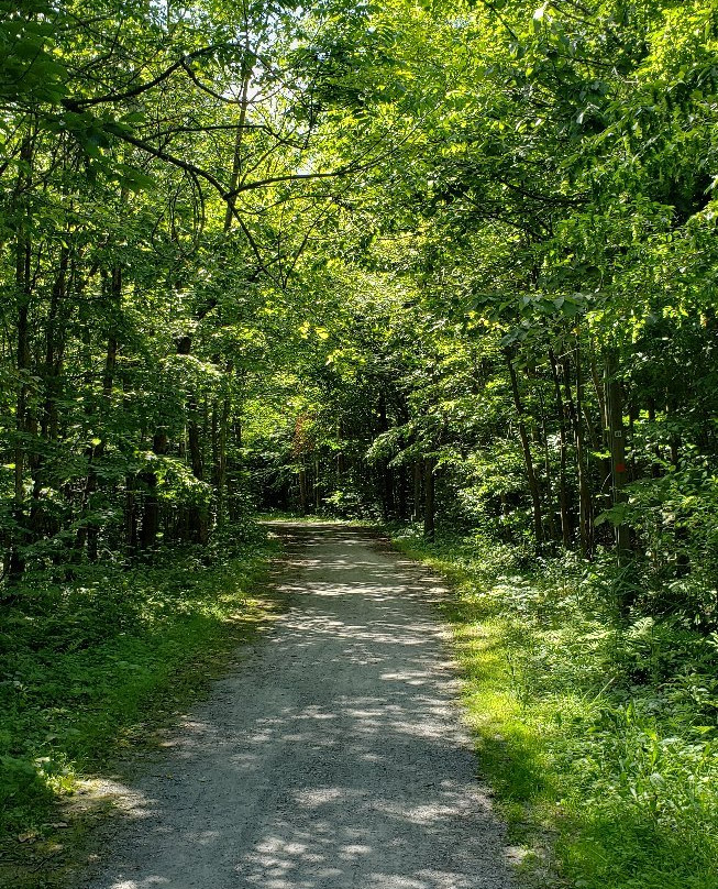 Parc Les Salines-圣亚森特必去景点