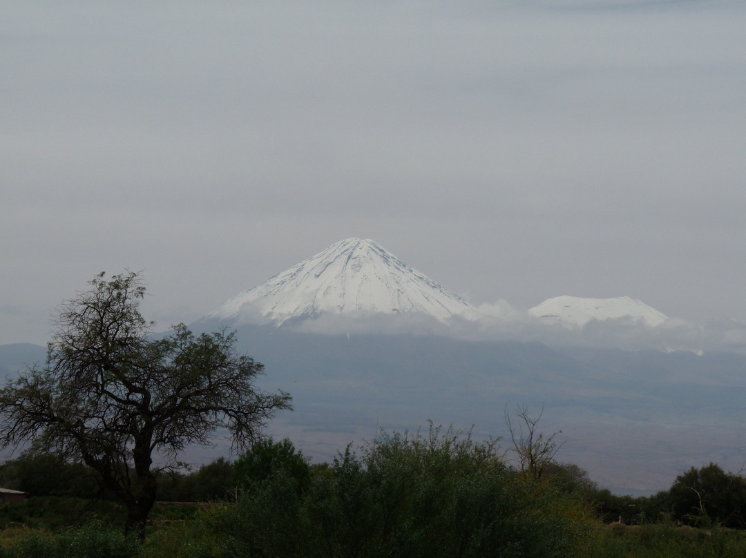 Tierra Atacama主图