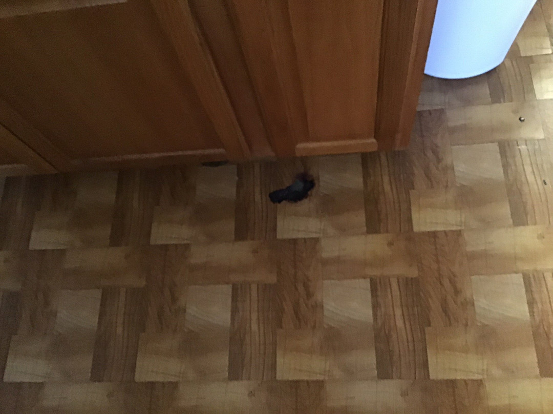 Antelope Hills Inn主图