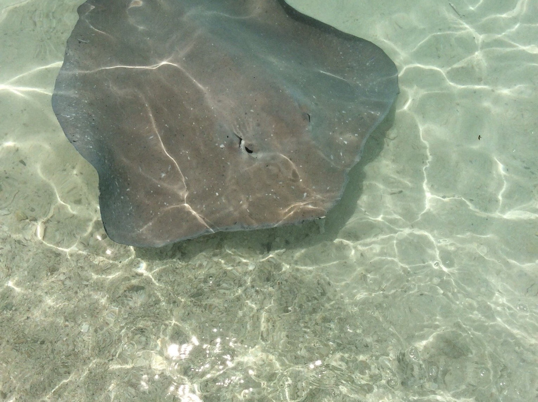 Pension Ludo et Moyra主图