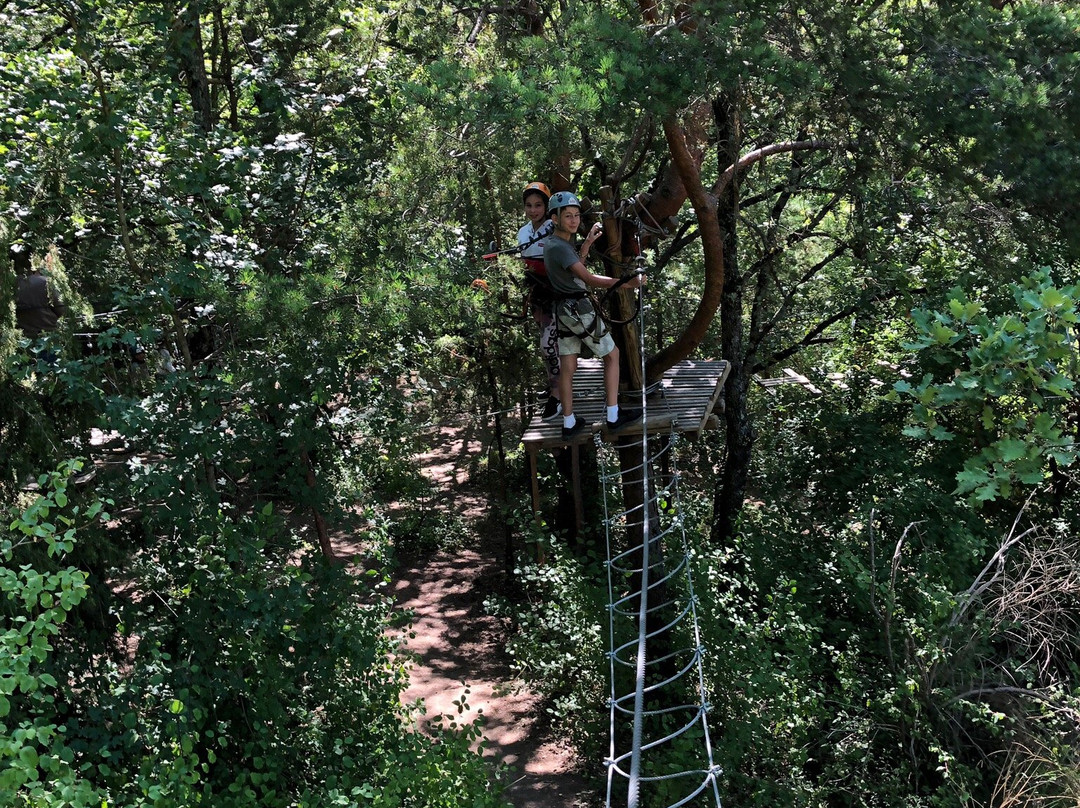 Acro Pole Aventure-Comps必去景点