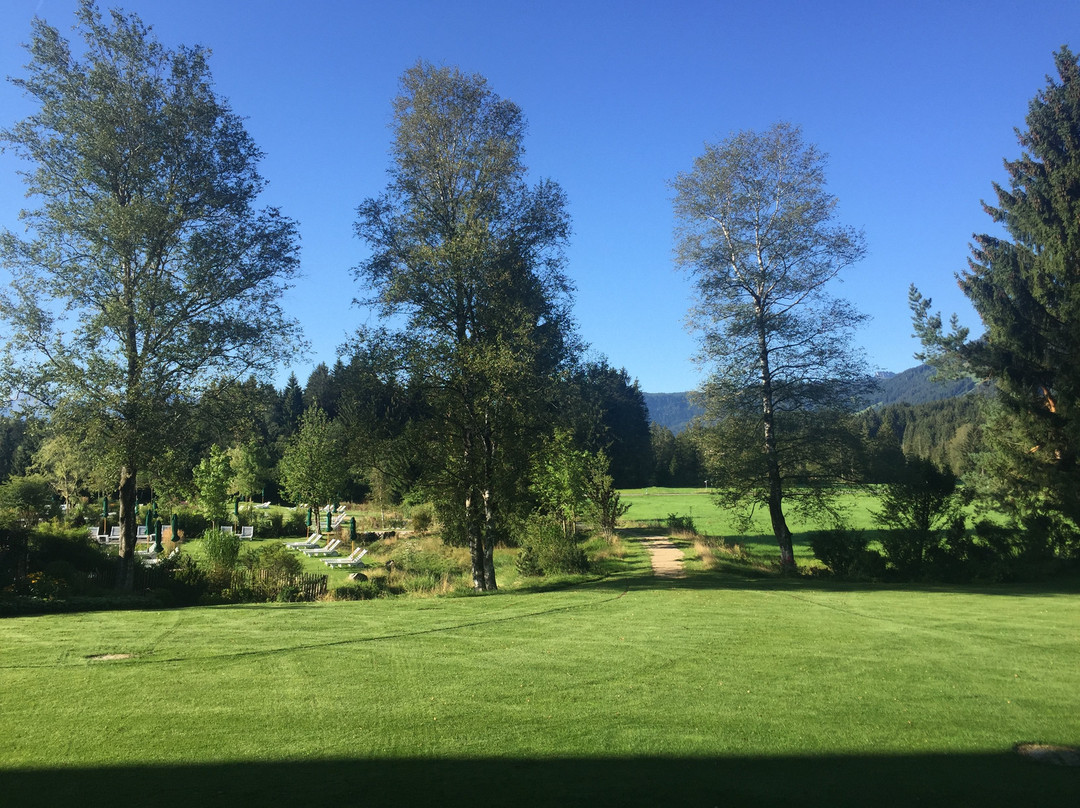 Sonnenalp Resort主图