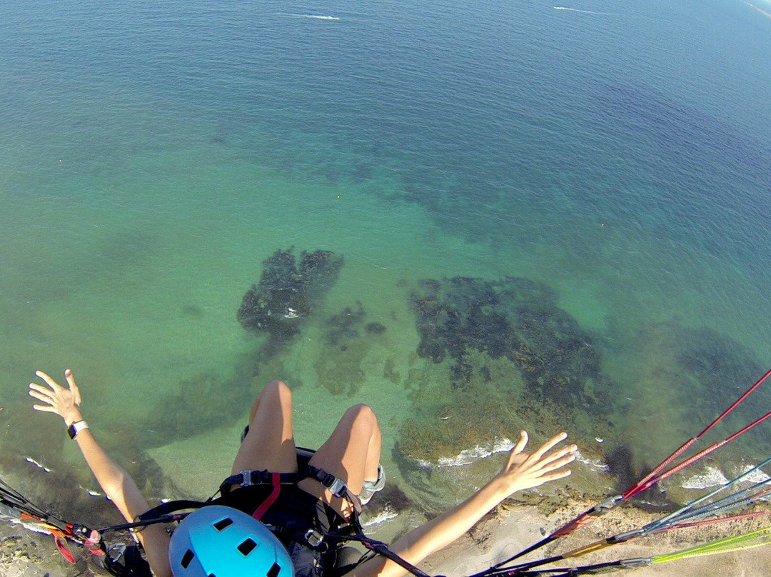 Summer Paragliding景点图片